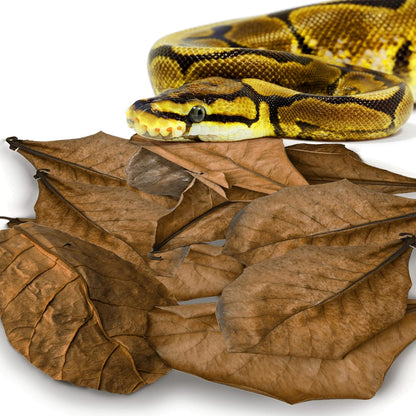 SunGrow leaf litter product branding and packaging detail