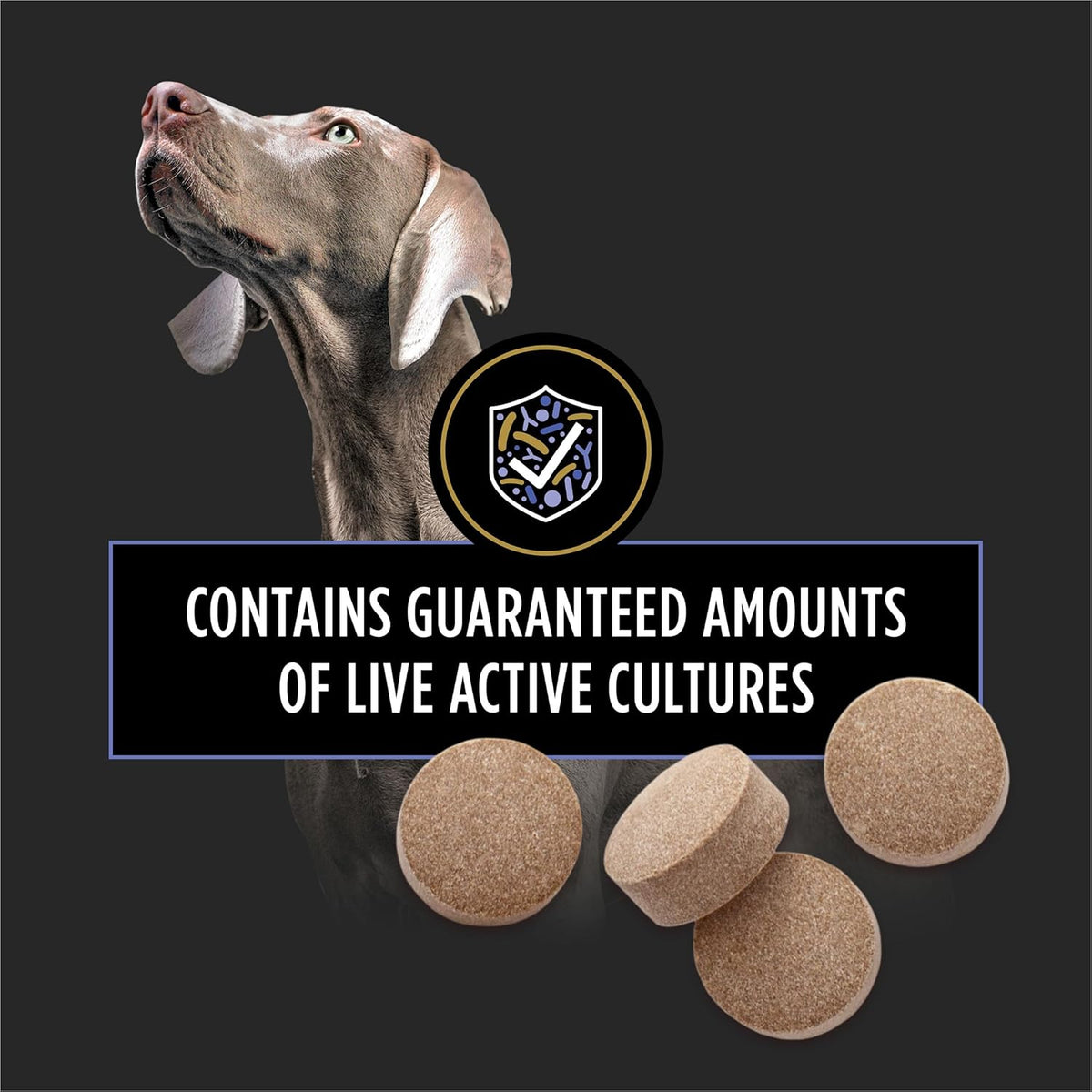 Authentic USA imported Purina Pro Plan FortiFlora dog supplements packaging details
