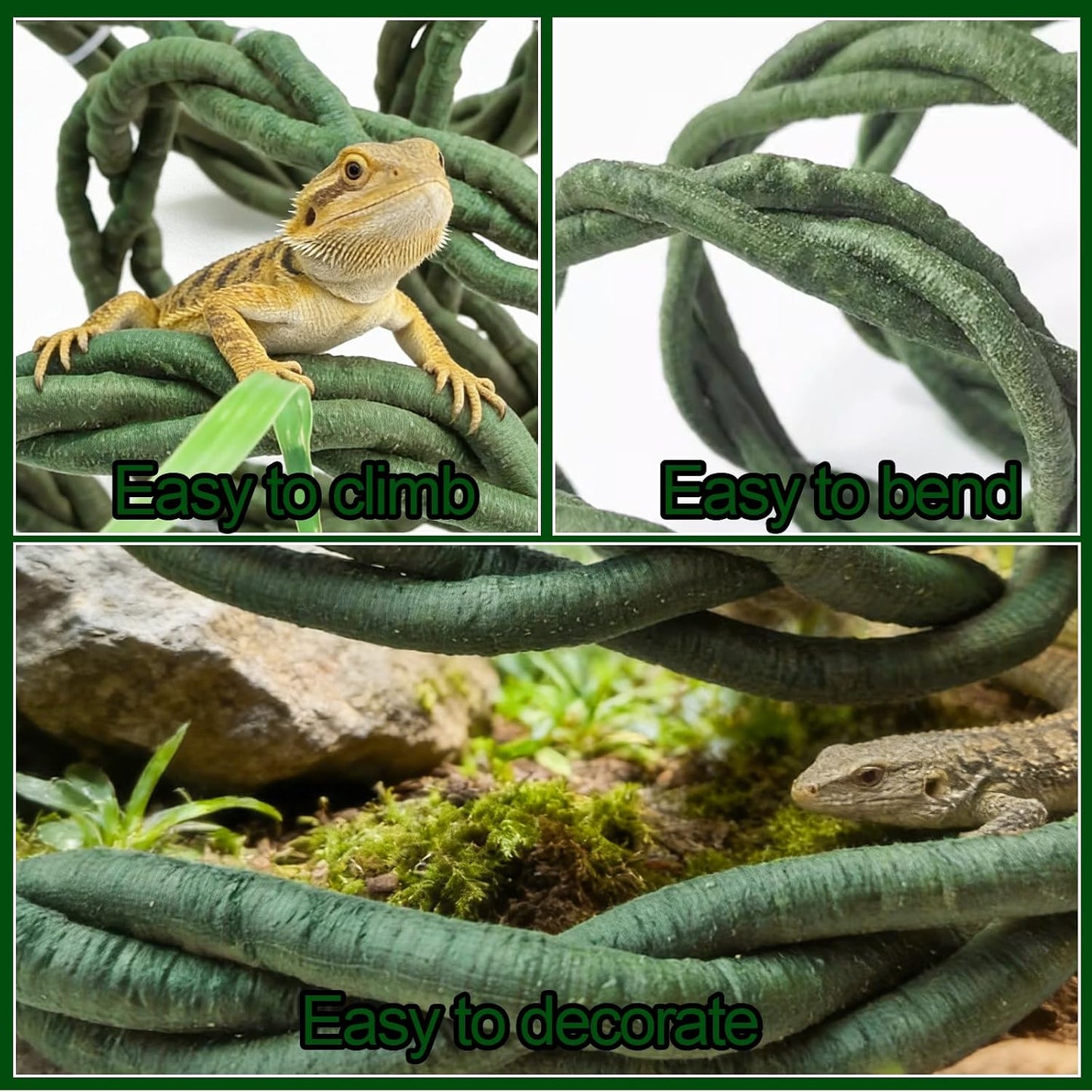 Close up of Gxsdj reptile vine texture and green leaves