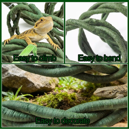 Close up of Gxsdj reptile vine texture and green leaves