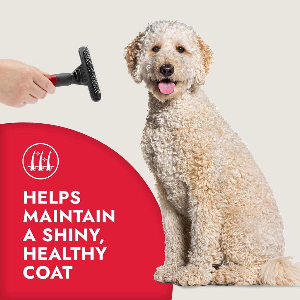 Using the KONG double sided undercoat rake to clear loose fur from a golden retriever