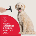 Using the KONG double sided undercoat rake to clear loose fur from a golden retriever