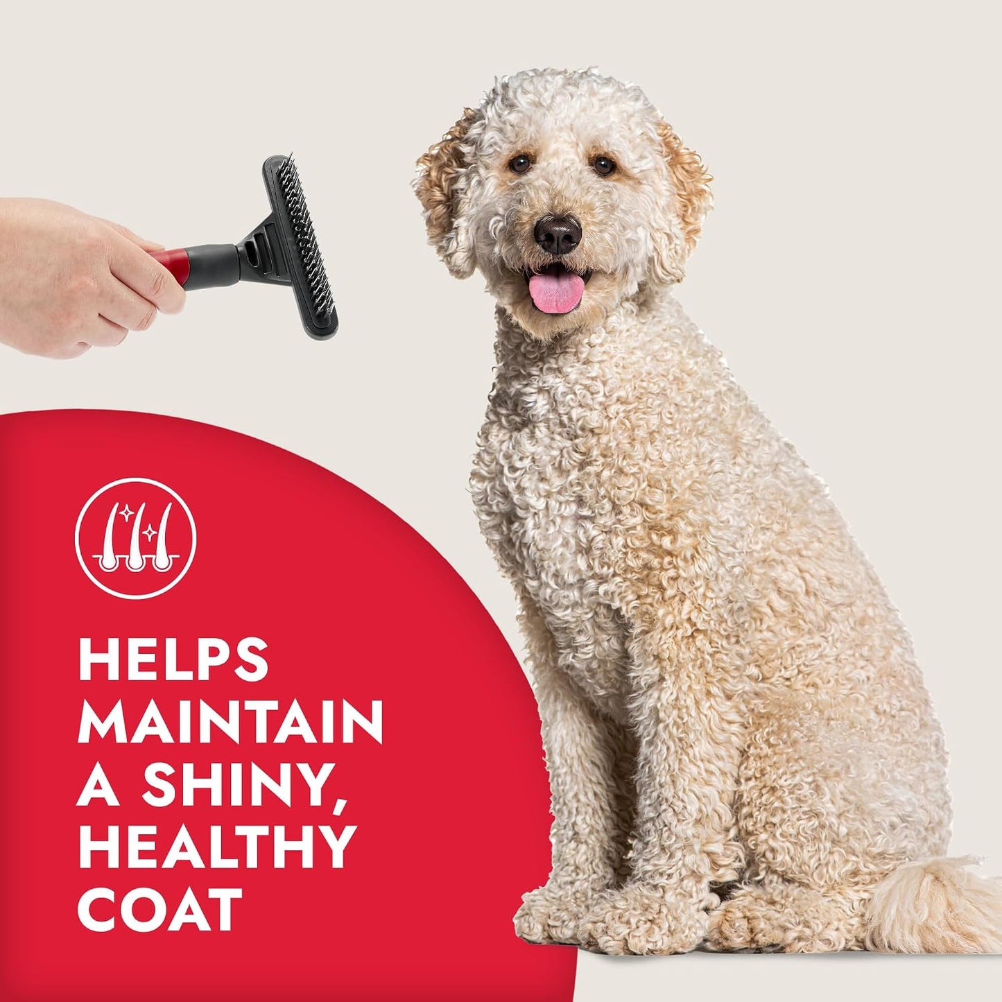 Using the KONG double sided undercoat rake to clear loose fur from a golden retriever