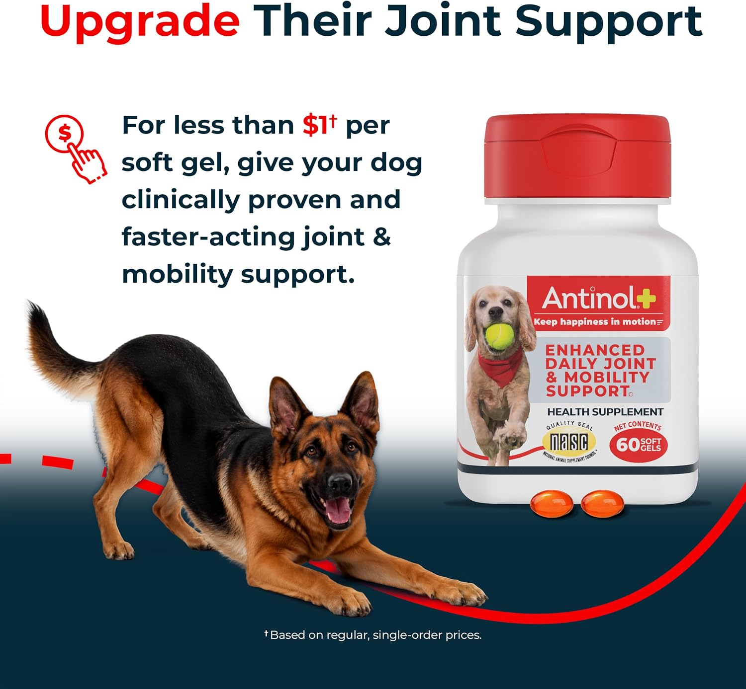 Antinol Plus hip health daily supplement formula for senior dogs