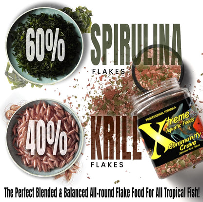 Small fish feeding on Xtreme Community Crave Flakes in an aquarium