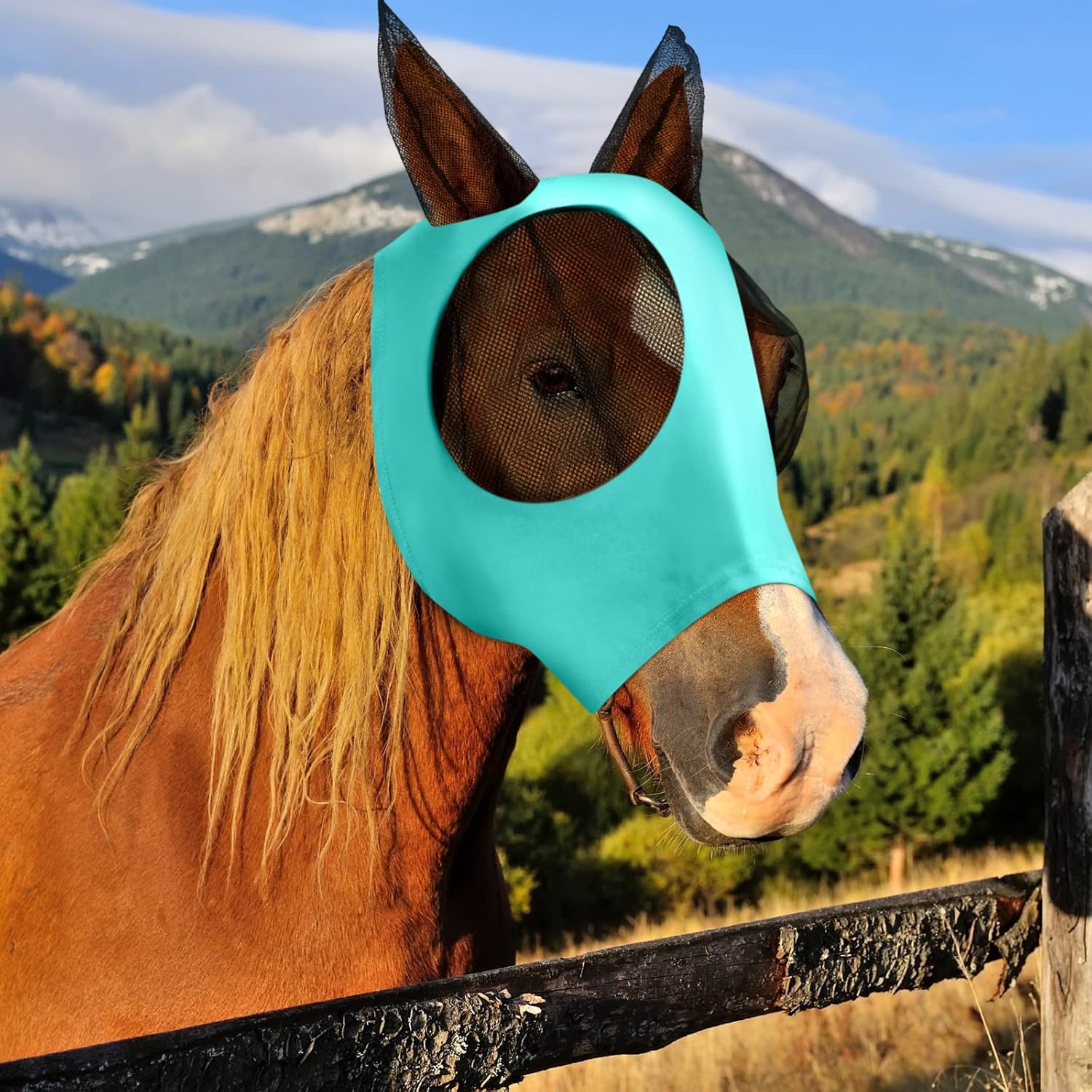 Mint green horse fly mask elastic fabric detail