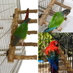 Bird Parrot Ladder Perch for Cage, Nature Wooden Bird Bridge Exercise Stands Parrot Climbing Chewing Toys for Small Animal - Image 4