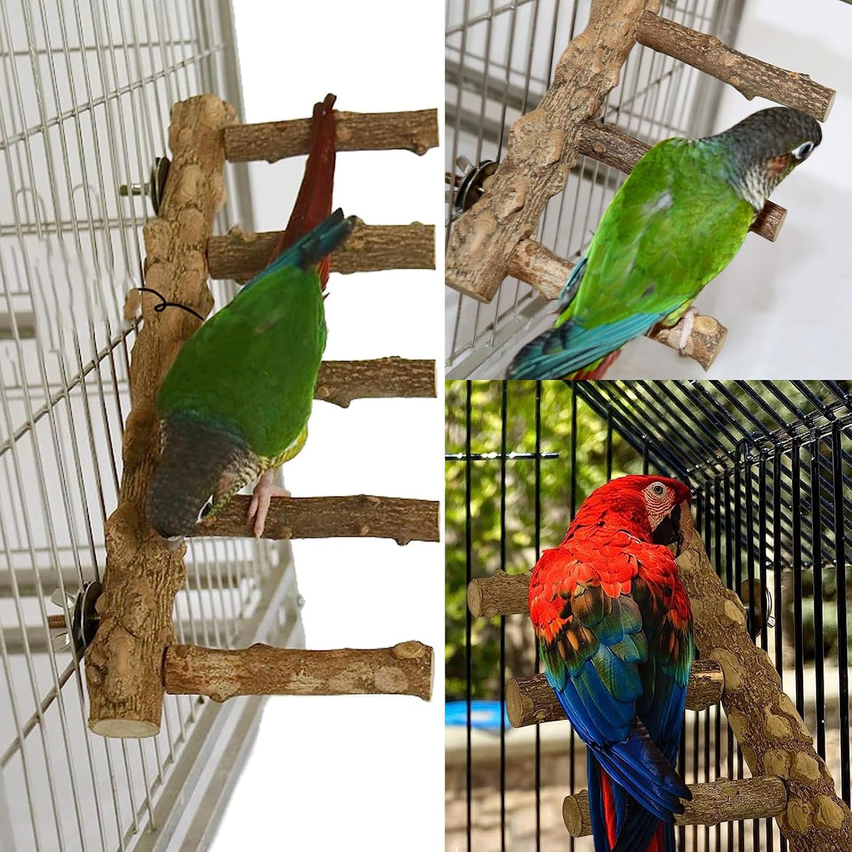 Bird Parrot Ladder Perch for Cage, Nature Wooden Bird Bridge Exercise Stands Parrot Climbing Chewing Toys for Small Animal - Image 4