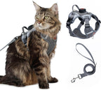 Cat Harness Leash Set with AirTag Holder, Upgraded Escape Proof Vest with Lead for Large Cat Small Dog Puppy Outdoor Walking, Soft Breathable Mesh Jacket with Reflective Strip (Black, L) - Image 13