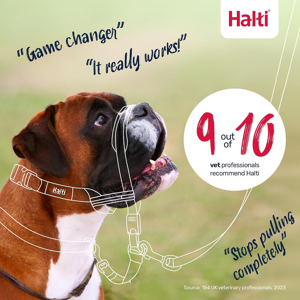 Halti Optifit Headcollar - Stop Your Dog Pulling on the Leash. Adjustable, Reflective and Lightweight, with Padded Nose Band. Dog Training Anti-Pull Collar for Medium Dogs (Size Medium) - Image 6