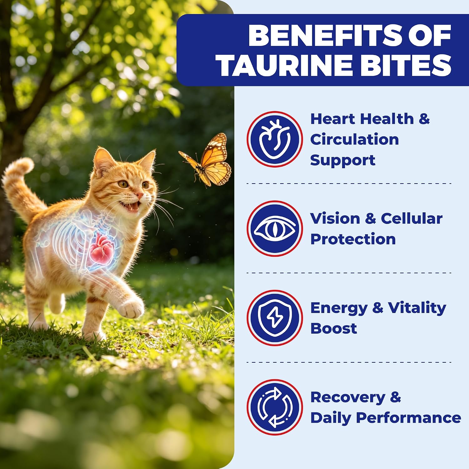 Wellix pet nutritional supplement side label showing premium ingredients including Omega three and CoQ10