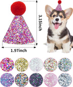 Assorted colors of Pet Show sequin puppy birthday hats