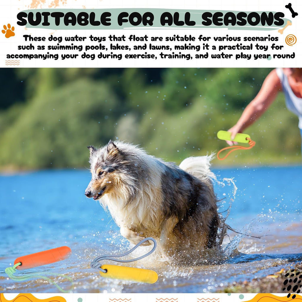 Four pack of Skylety amphibious fetch sticks arranged neatly to show the 8.5 by 2 inch dimensions.