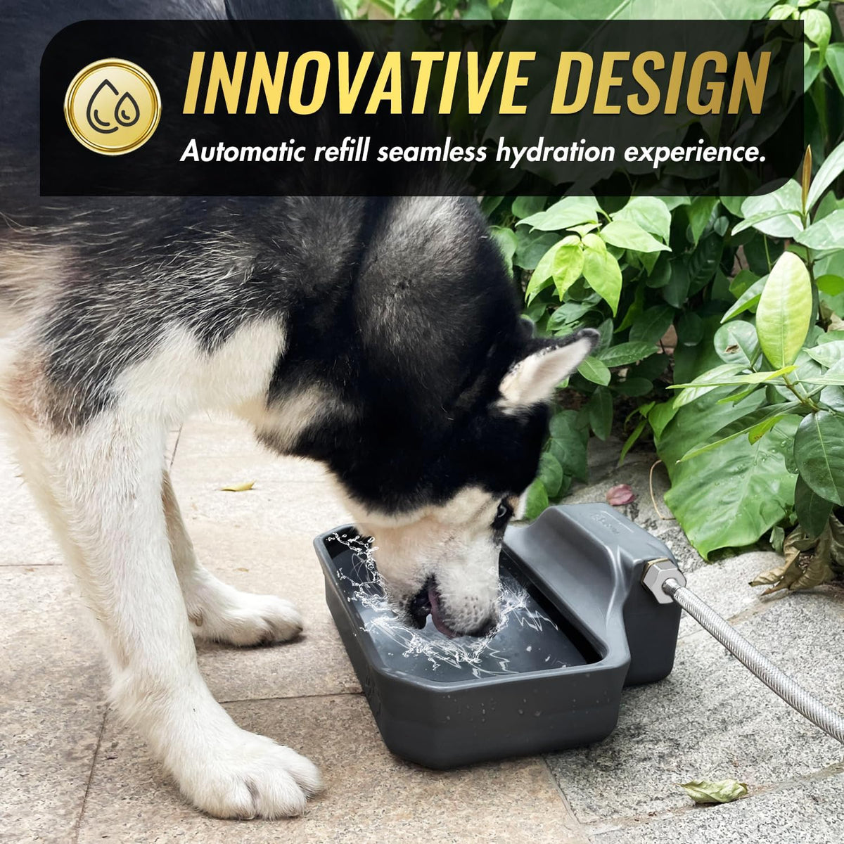 Ficuswin rust proof dog water bowl dispenser side view with hose attached
