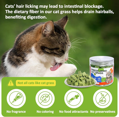 Freeze dried cat grass treat being crumbled as a kibble topper over pet food