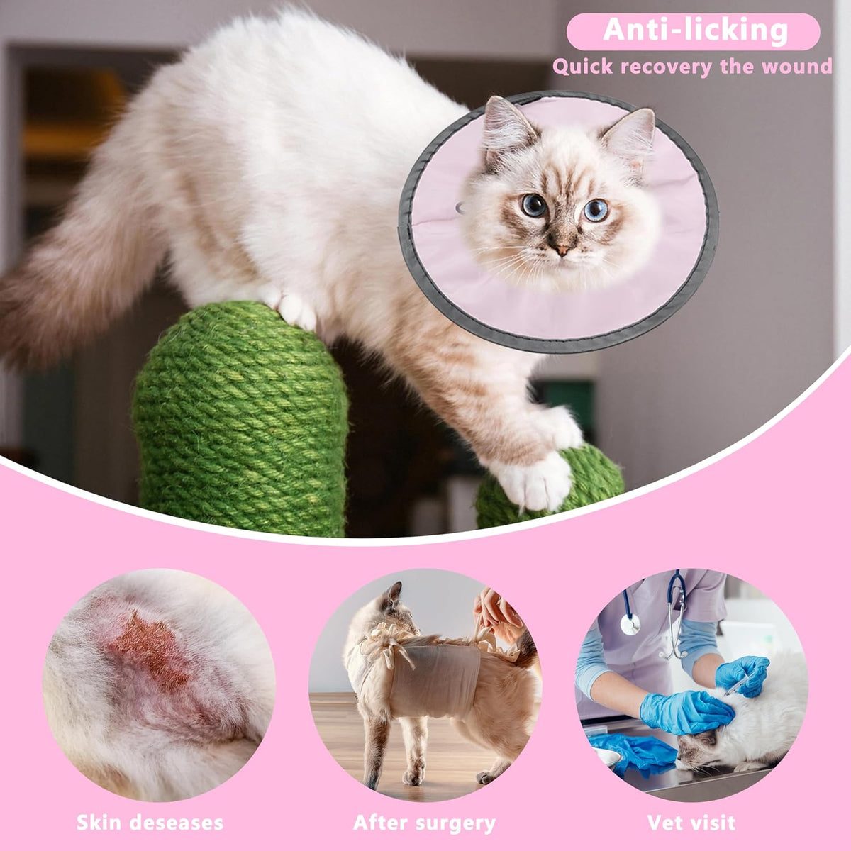 Cat wearing comfortable soft pink e collar while eating from a food bowl