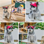 Small size cat dog sun cap for outdoor protection