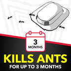 Raid child resistant ant bait stations being placed flat along a kitchen wall baseboard.