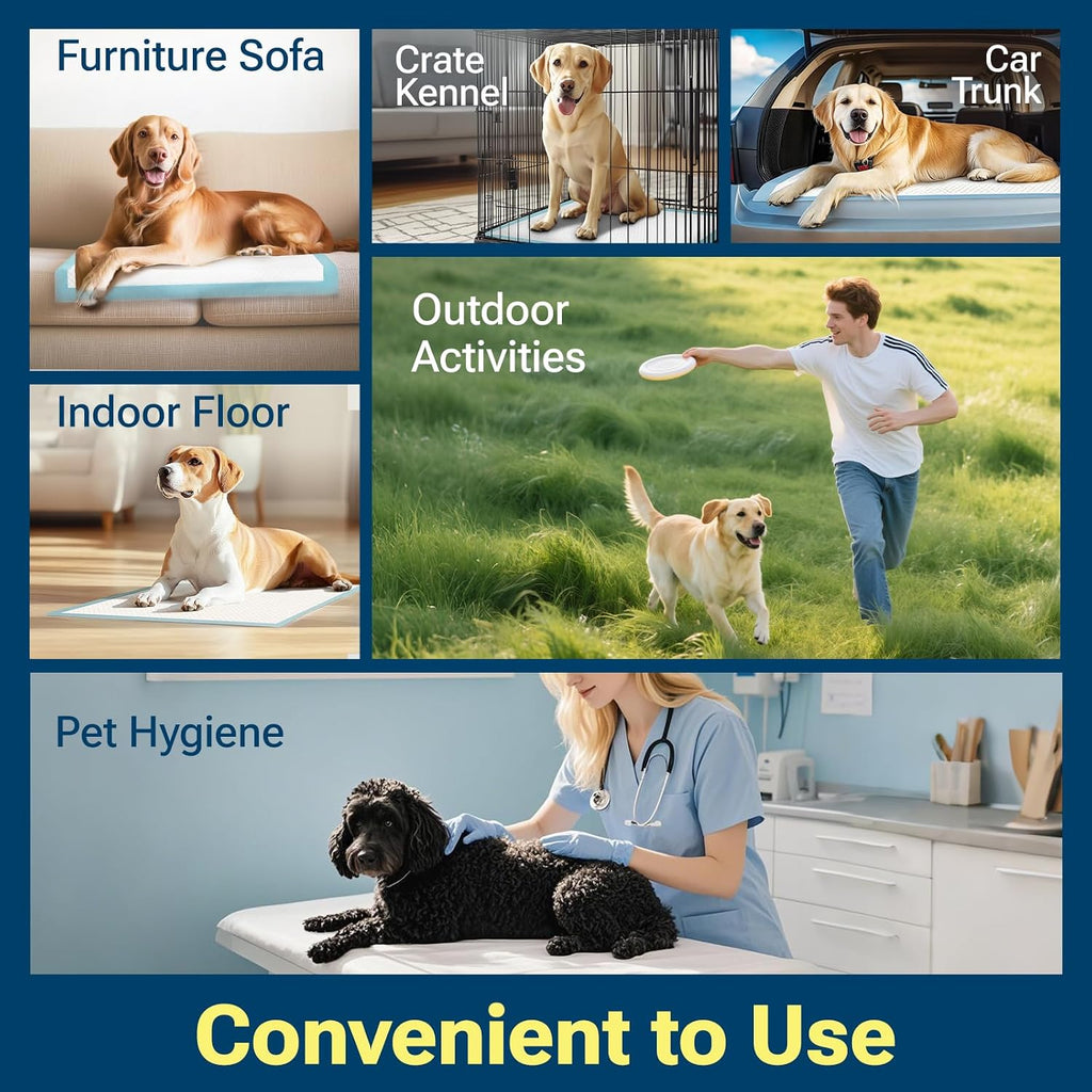 Clean Spaces five layer moisture locking technology visual representation on pet mat