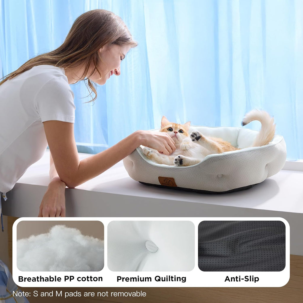 Small dog bed with supportive bolster rim