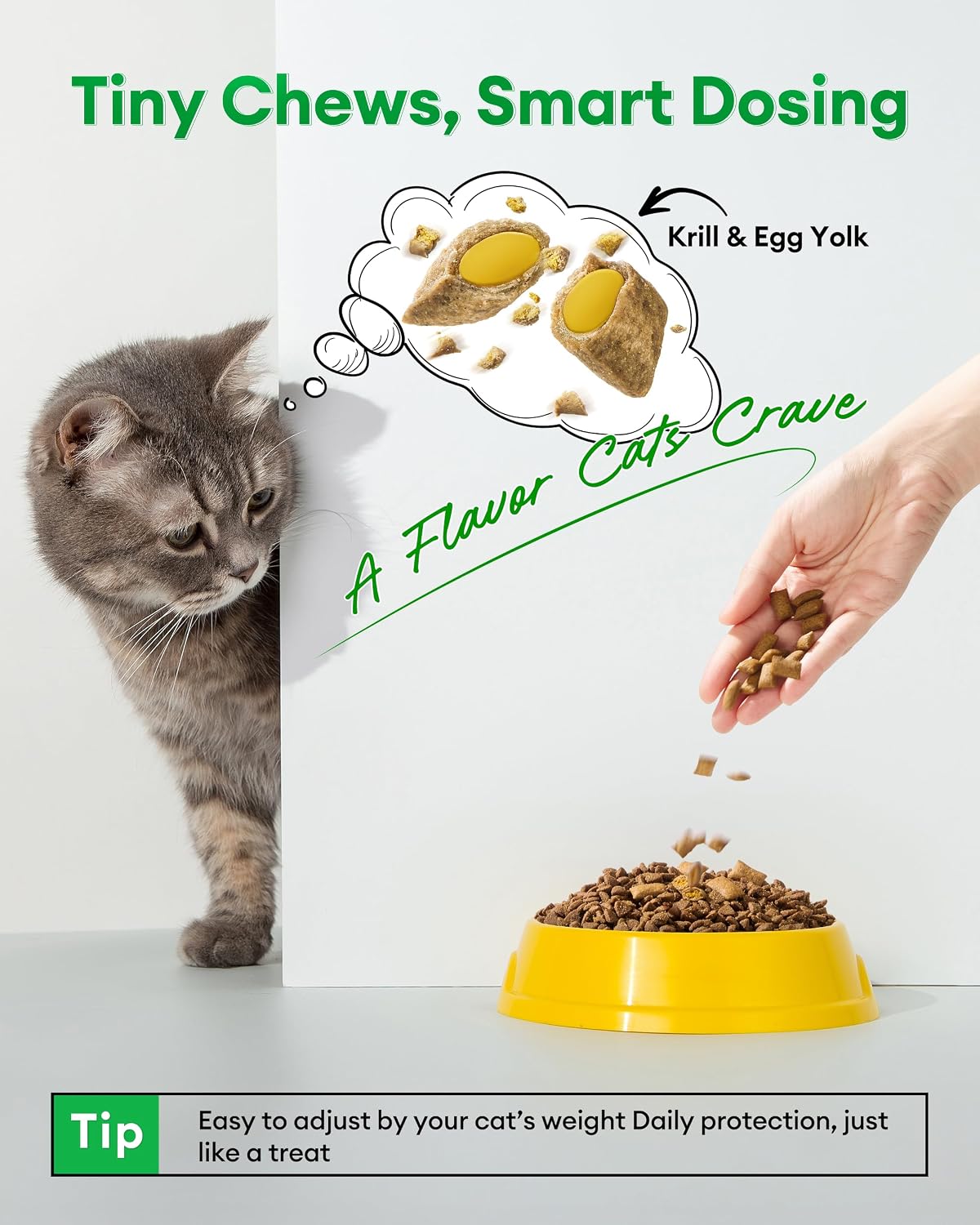 USA imported cat vitamin supplement packaging showcasing B-complex vitamins