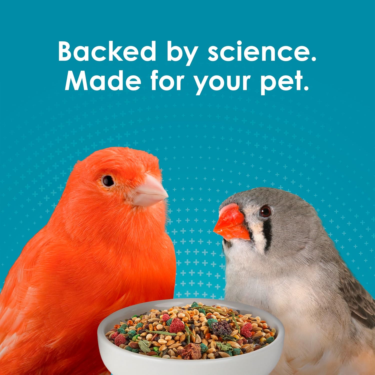 Kaytee Forti-Diet Pro Health Pet Canary & Finch Food, 2 lb - Image 11