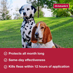 K9 Advantix II flea tick and mosquito prevention ingredients list