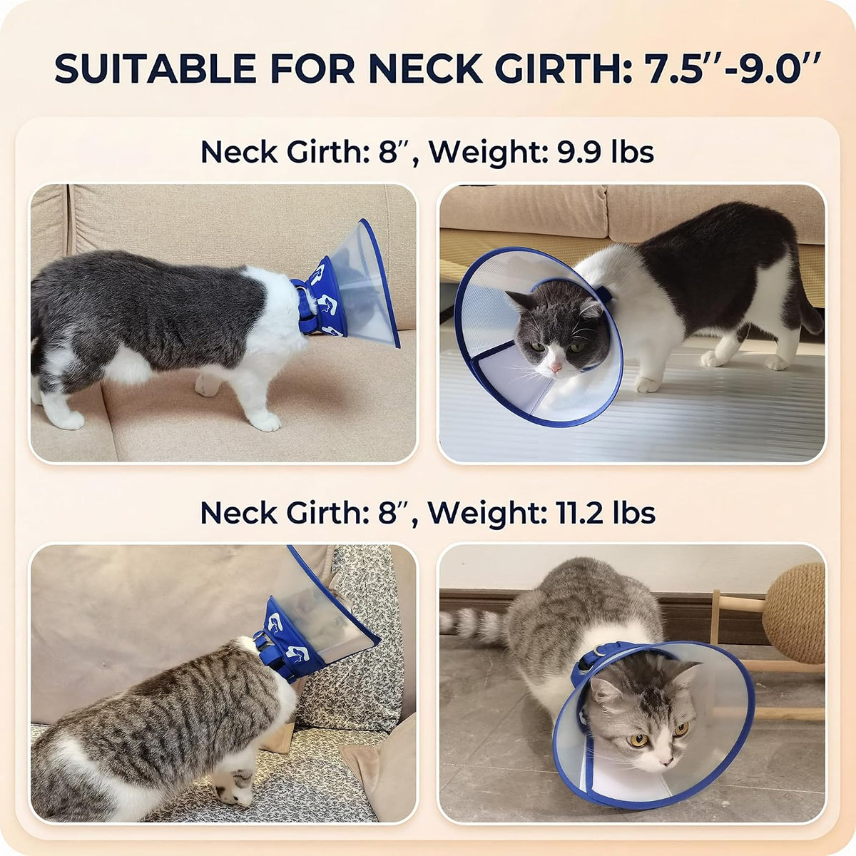Water-resistant small dog cone collar illustrating the breathable inner fabric lining texture