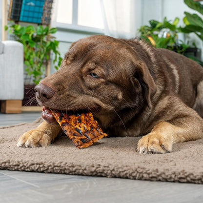 Pet Factory beef flavored natural rawhide chips for canine dental health.