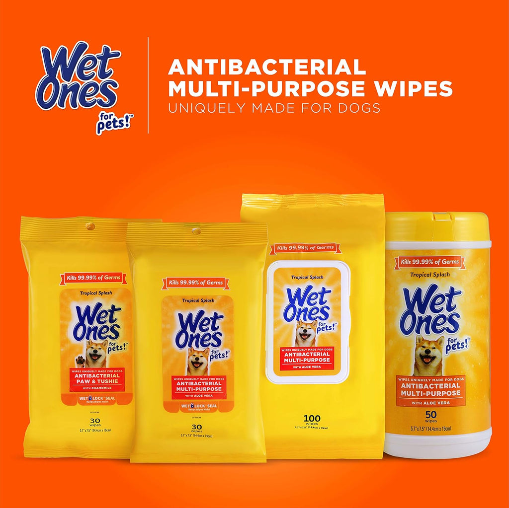 Imported Wet Ones pet wipes for quick between bath cleaning