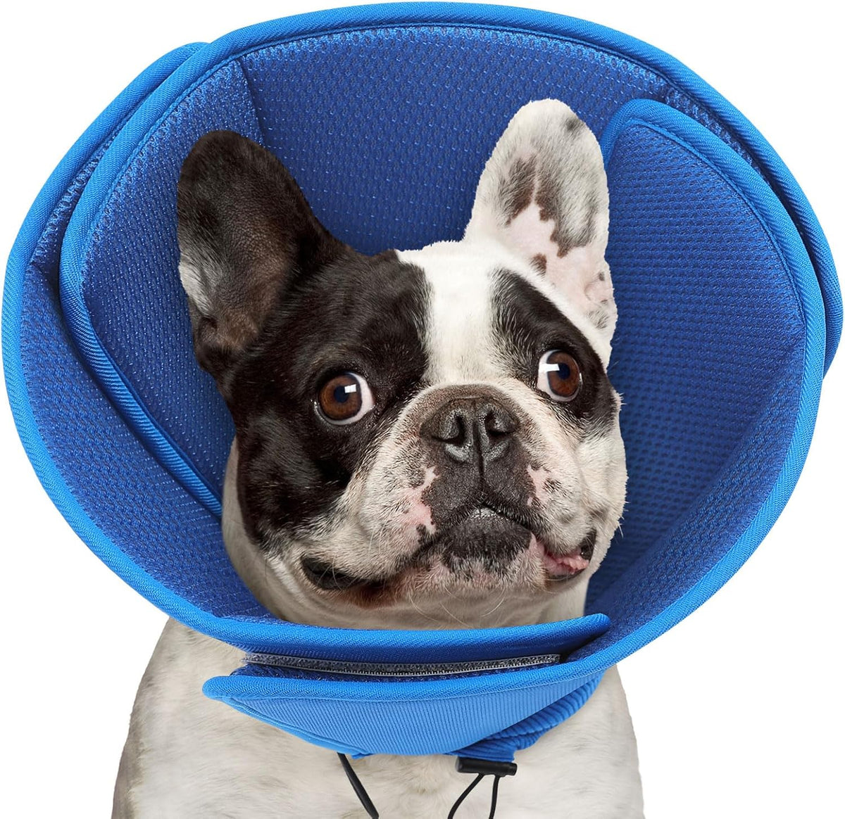Queenmore Soft Dog Cones for Large Dogs,Comfy Dog Cone for Dogs to Stop Licking After Surgery,Adjustable Pet Cone Alternative for Wound Healing,Blue,X-Large - Image 11