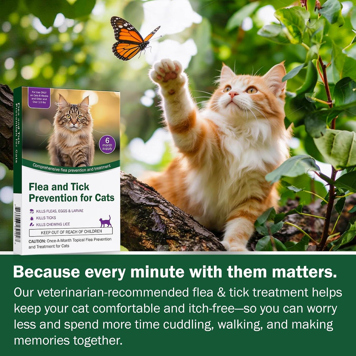 Catego USA imported feline pest control pack showing six application pipettes