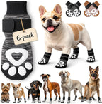 Bixie dog socks preventing paw licking on small dog