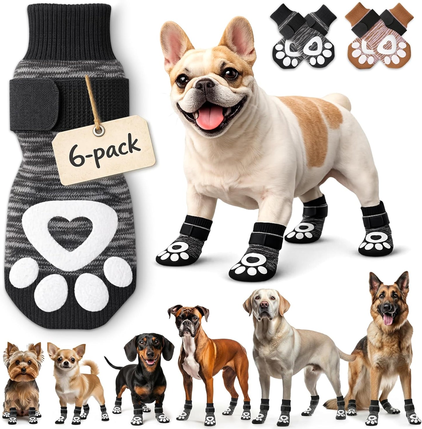 Bixie dog socks preventing paw licking on small dog