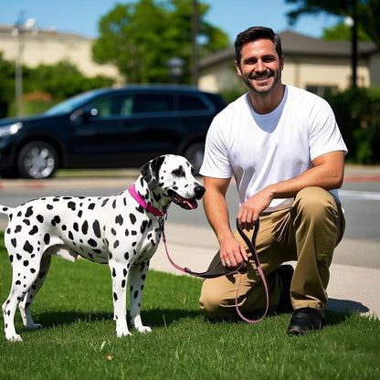 Tiffpaws traffic lead close control handle design for strong dogs