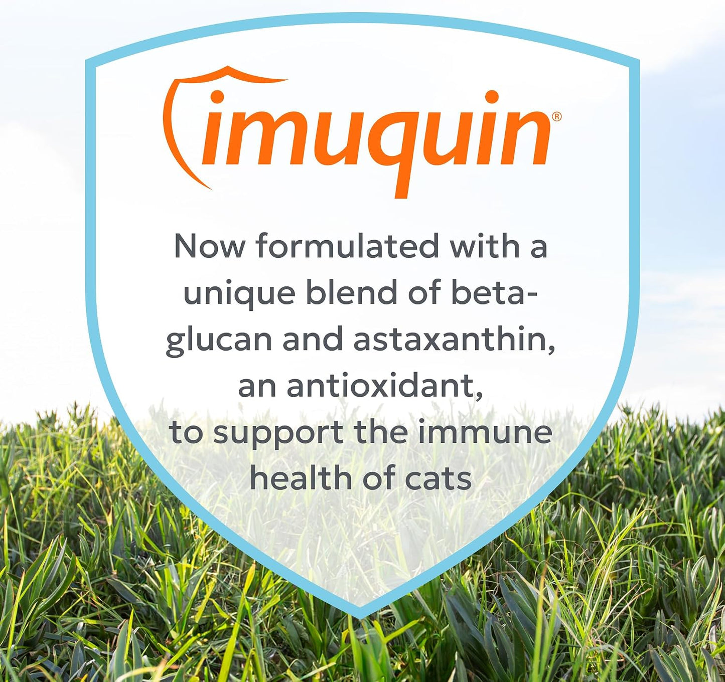 Nutramax Laboratories Imuquin supplement powder sprinkle administration on cat food