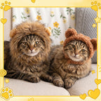 Bright rainbow flower hat pet accessory