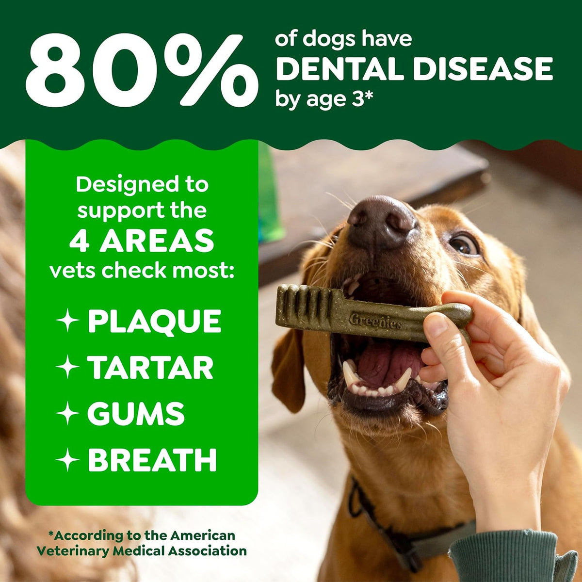 Three packs of Greenies dental dog treats side by side