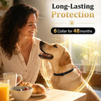 Black adjustable flea and tick collar for dogs