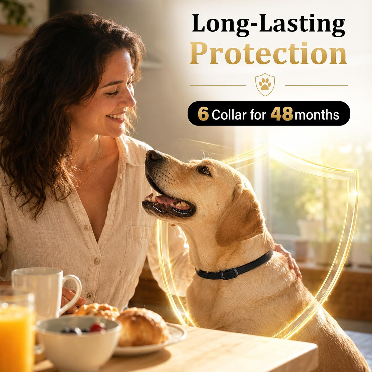 Black adjustable flea and tick collar for dogs