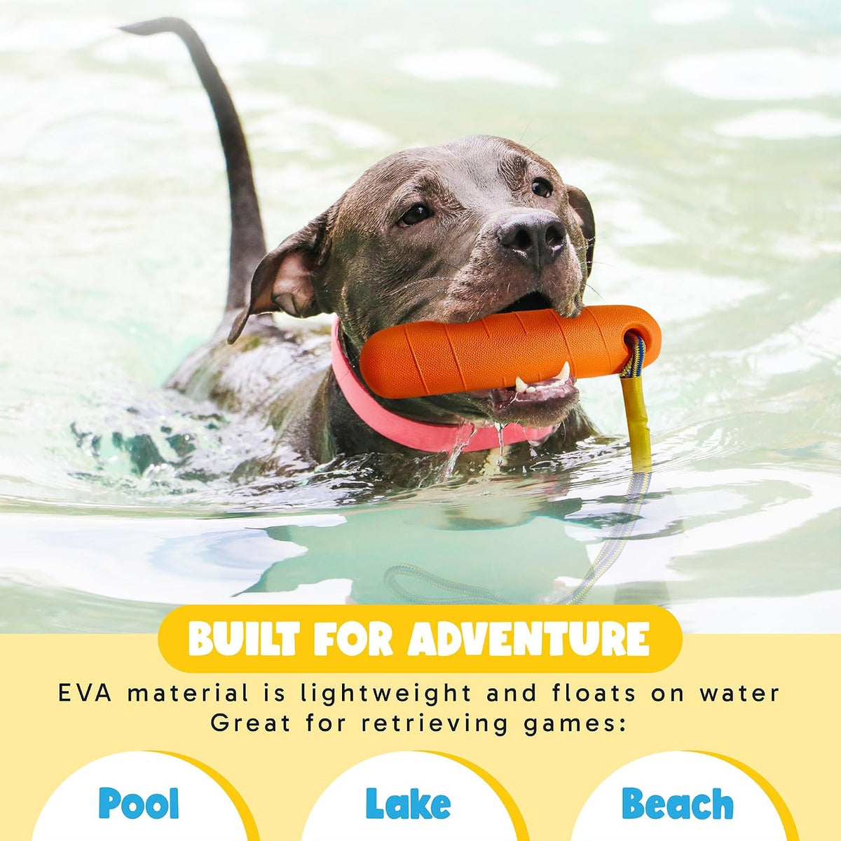 Premium imported water fetch toy package for dogs showing dual color high visibility options.