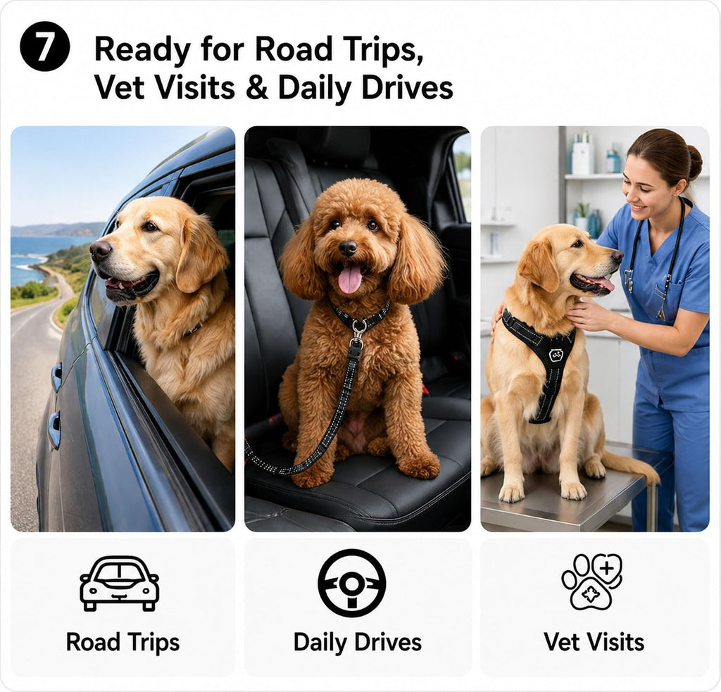 Dog seat belt attached to harness in car