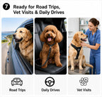 Dog seat belt attached to harness in car