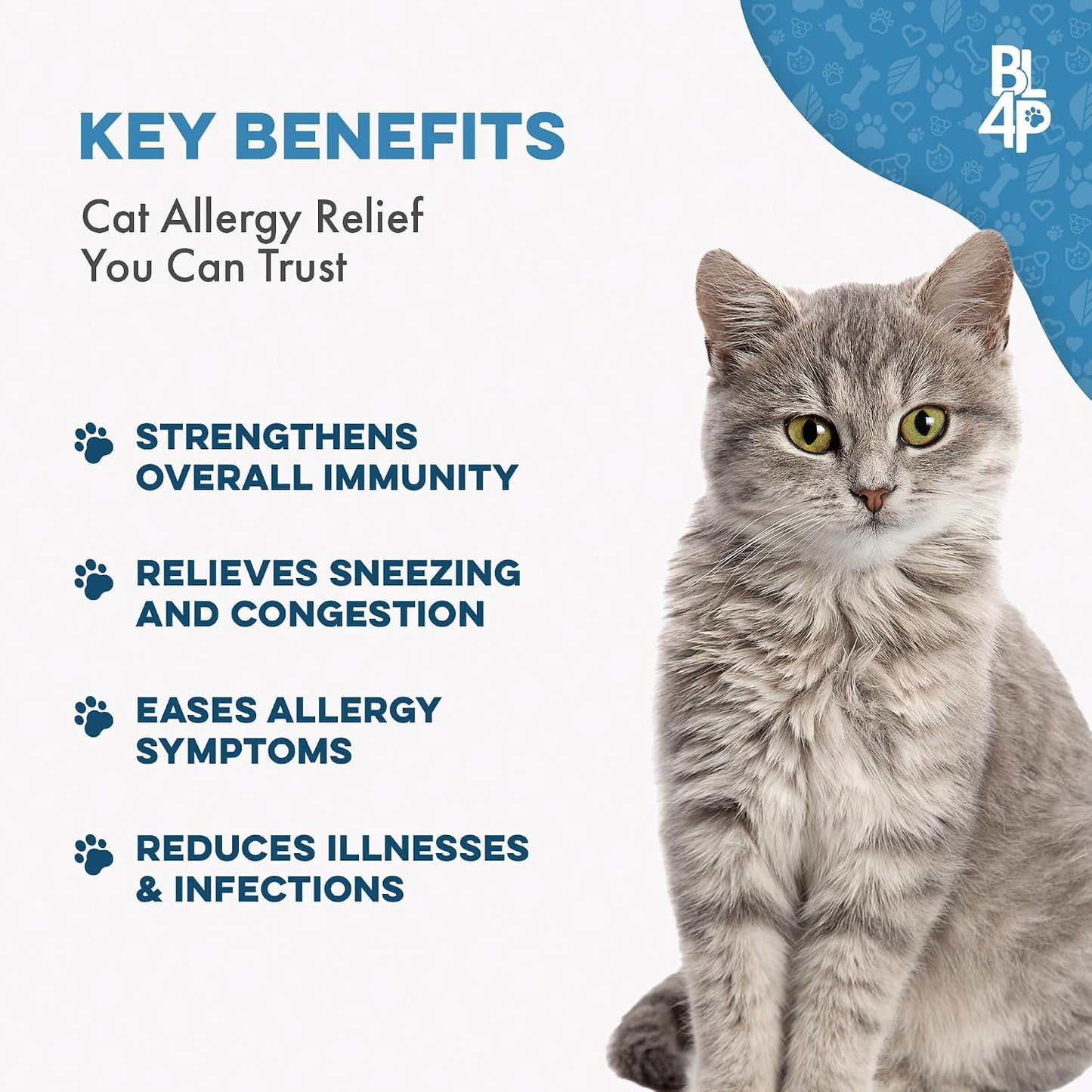 Close up of the odorless and tasteless allergy pills for cats showing their tiny size for easy food mixing.