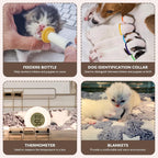 HKDQ foldable pet incubator showing the spacious transparent design for easy litter monitoring.