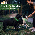 Fluorescent glow effect of Mysora pet collar