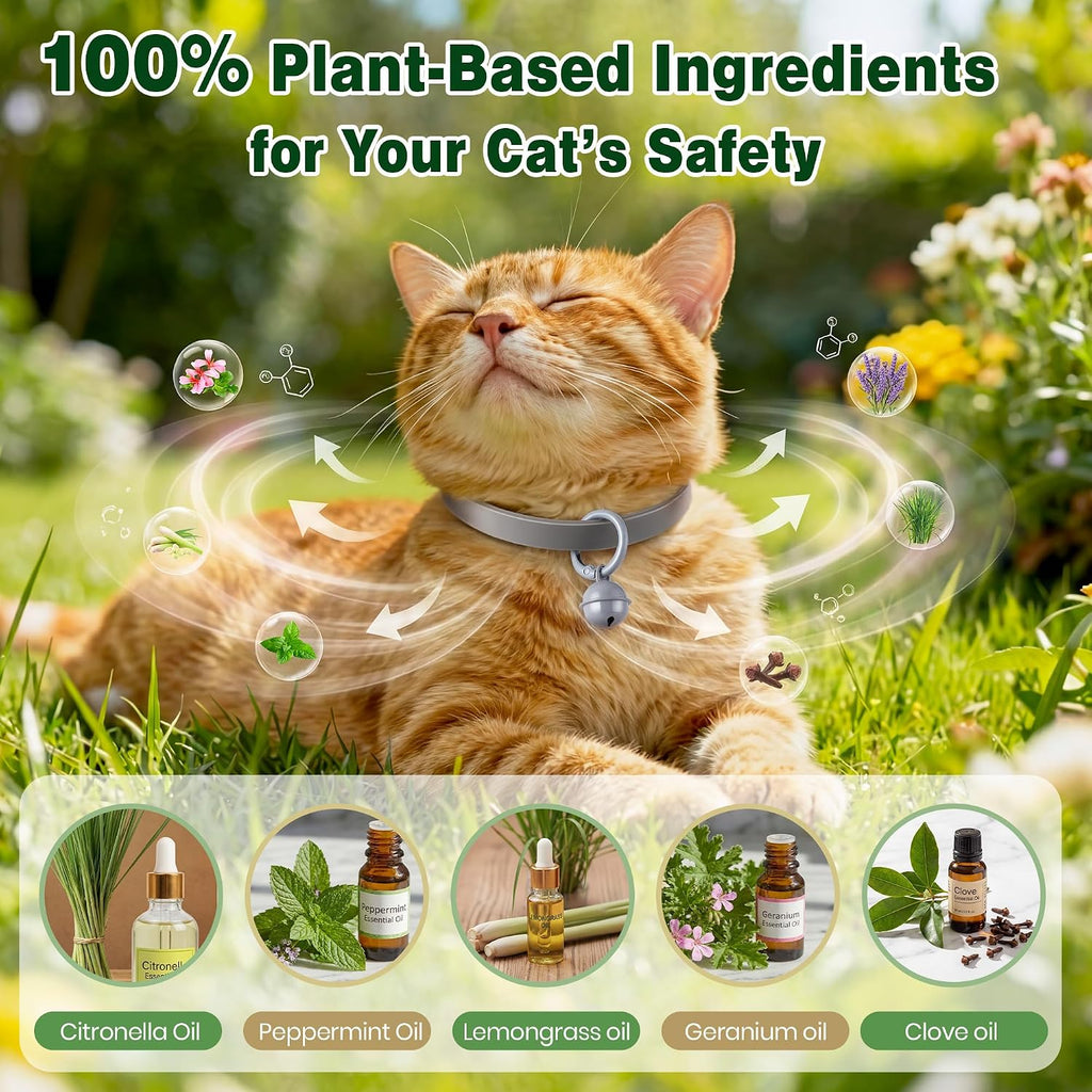 Two pack grey flea and tick collar for kittens