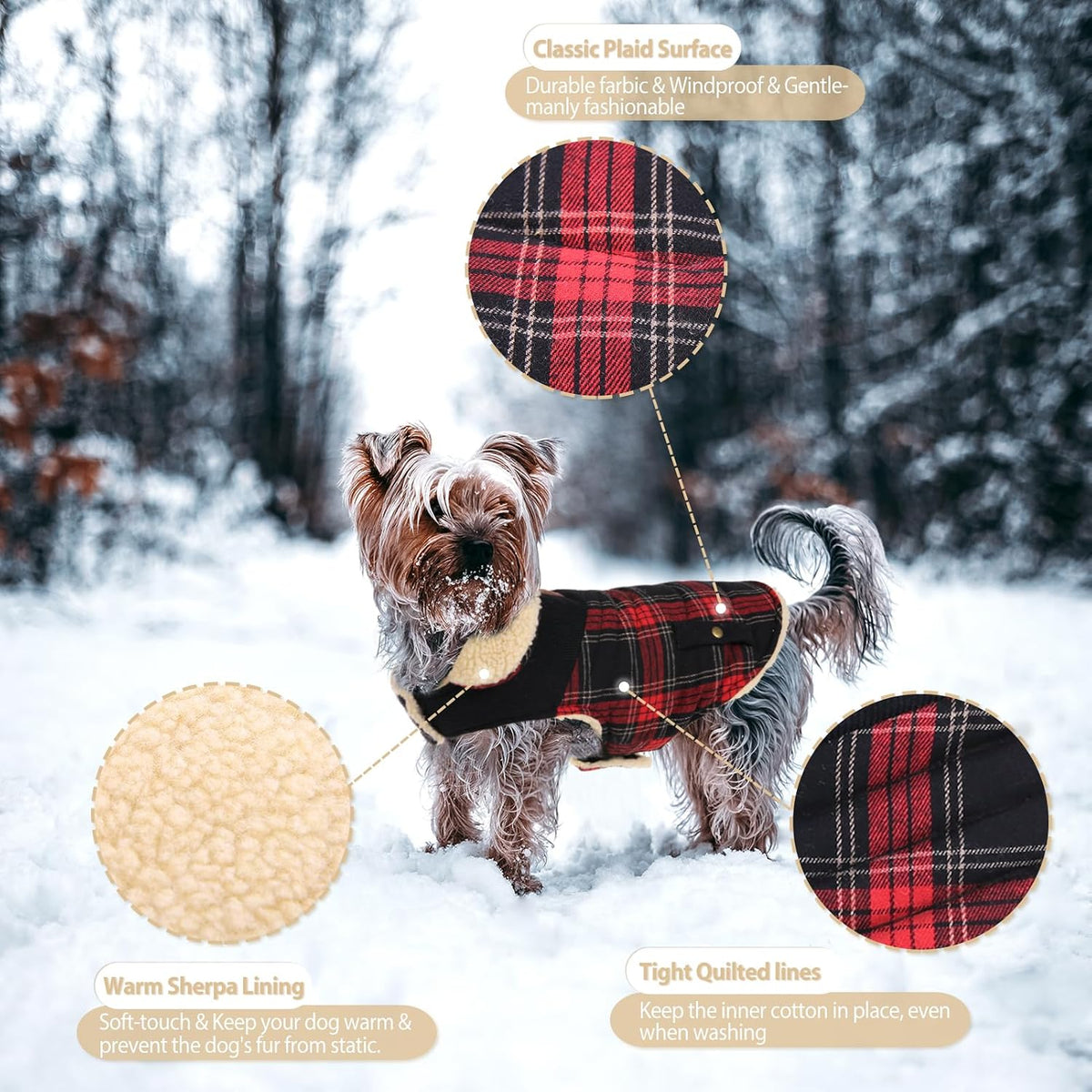 Back view of Preferhouse pet coat with leash hole