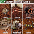 Terrarium setup featuring tortoises on coco coir bedding