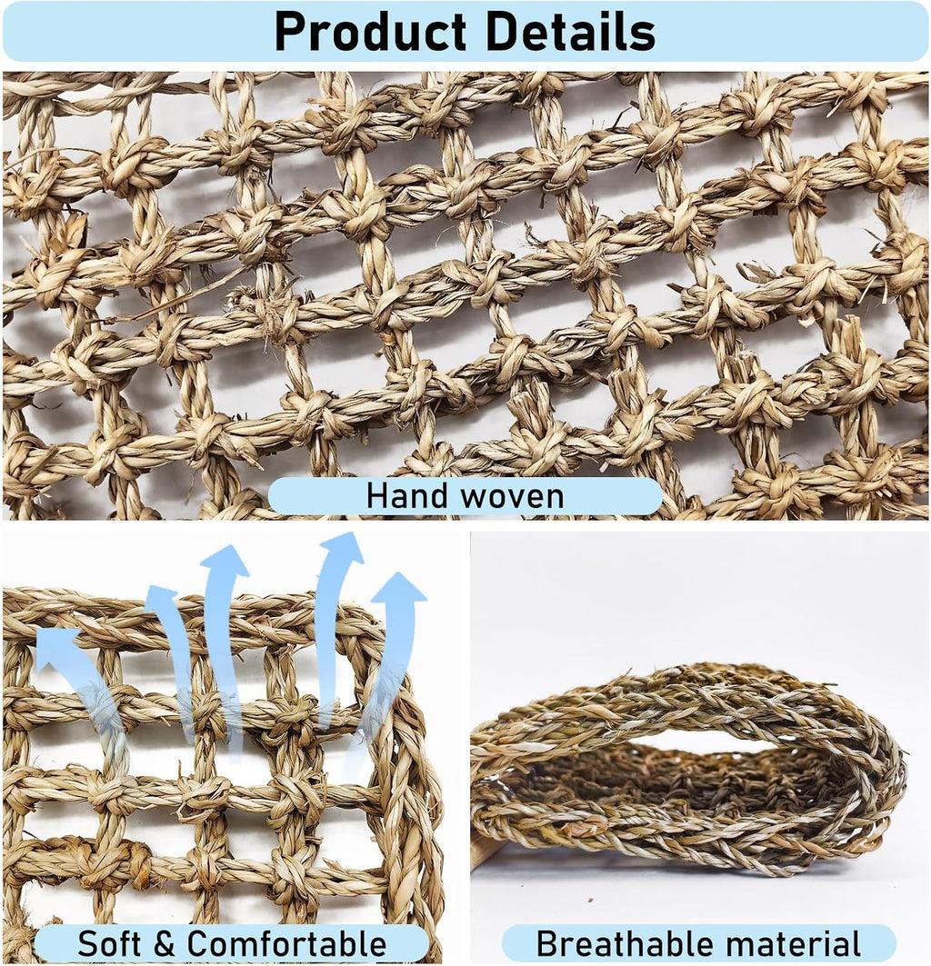 VCEPJH Bearded Dragon Tank Accessories package contents including the hammock and toy balls
